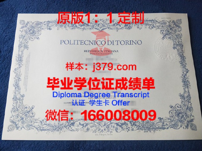都灵大学毕业证学位证(都灵大学毕业证学位证书图片)