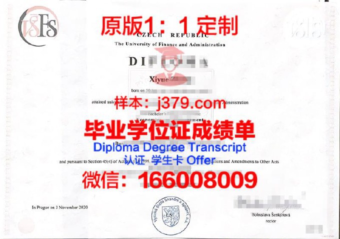 布拉格经济大学diploma证书(布拉格经济大学申请条件)