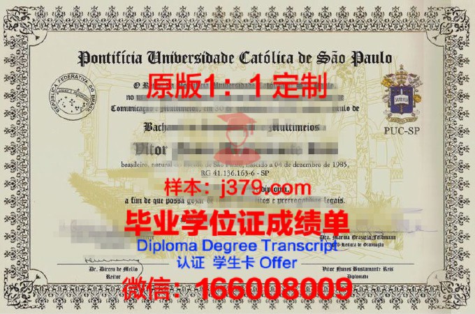 圣保罗州立大学毕业证图片(圣保罗大学本科申请条件)