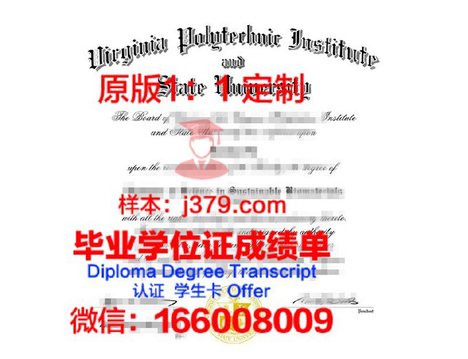 圣彼得堡理工大学diploma证书(圣彼得堡理工大学国内承认么)